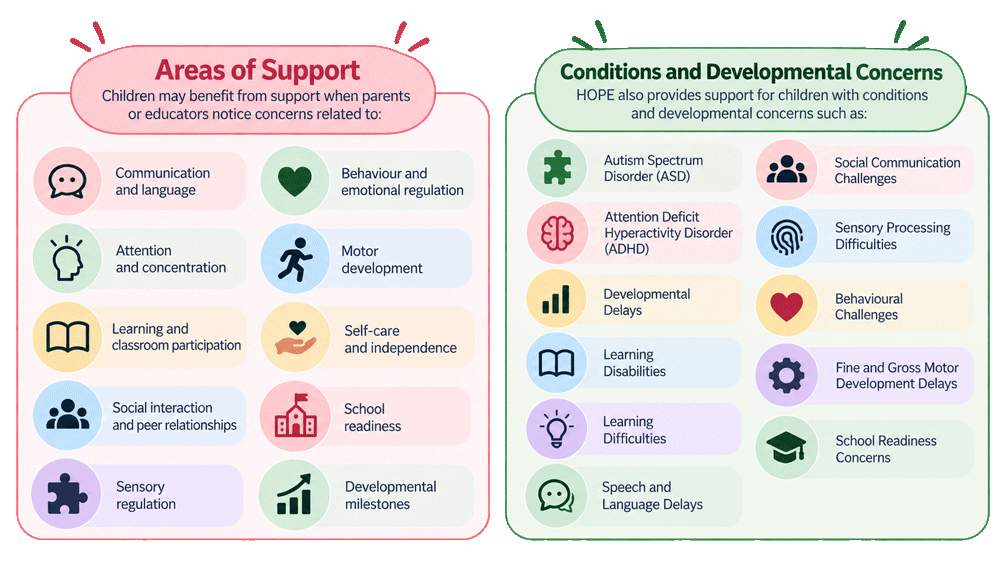 Areas of support and developmental concerns for children at HOPE Centre in Noida